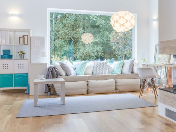 Pethouse apartment