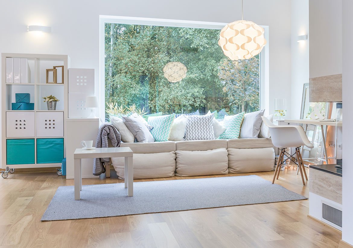 Pethouse apartment